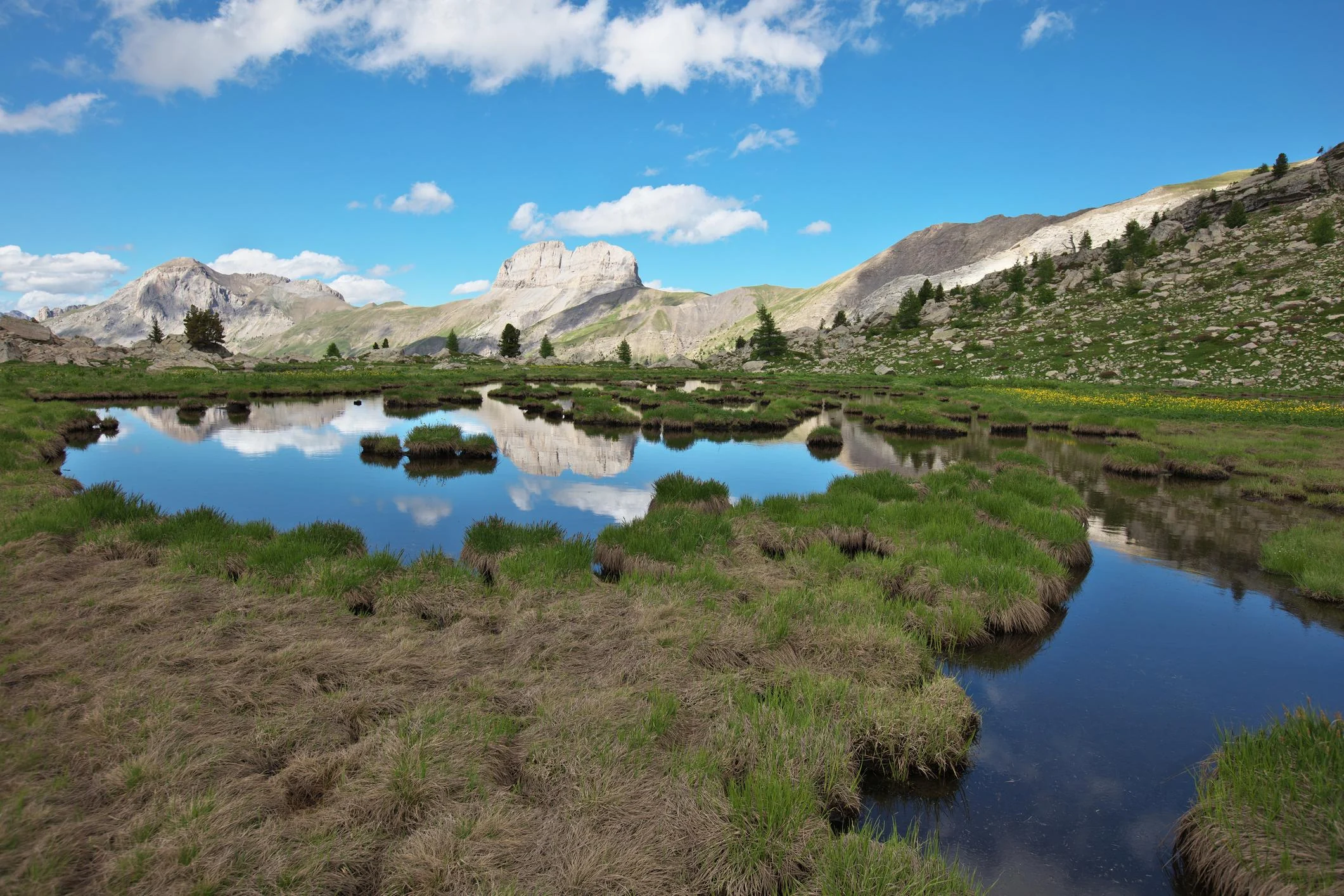 Méandres des Eaux Tortes au milieu des alpages et des sommets de l'Ubaye