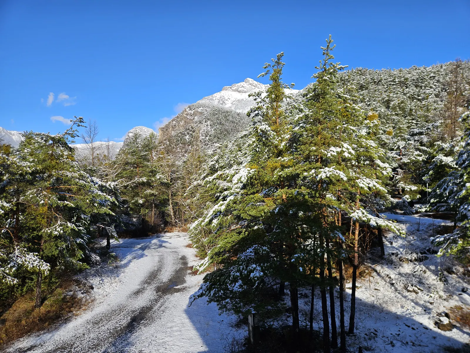 Forêt et sommets enneigés à proximité du Petit Torrent