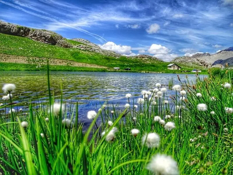 Lac d'altitude fleuri dans les montagnes de l'Ubaye